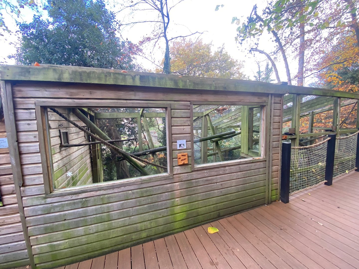 Red titi enclosure 111222