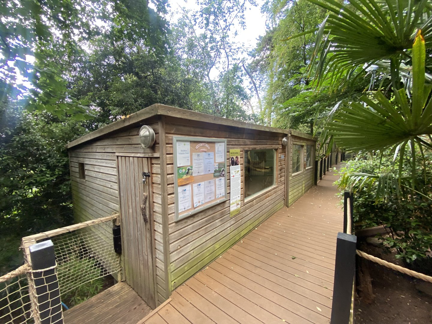 Red titi enclosure 250623