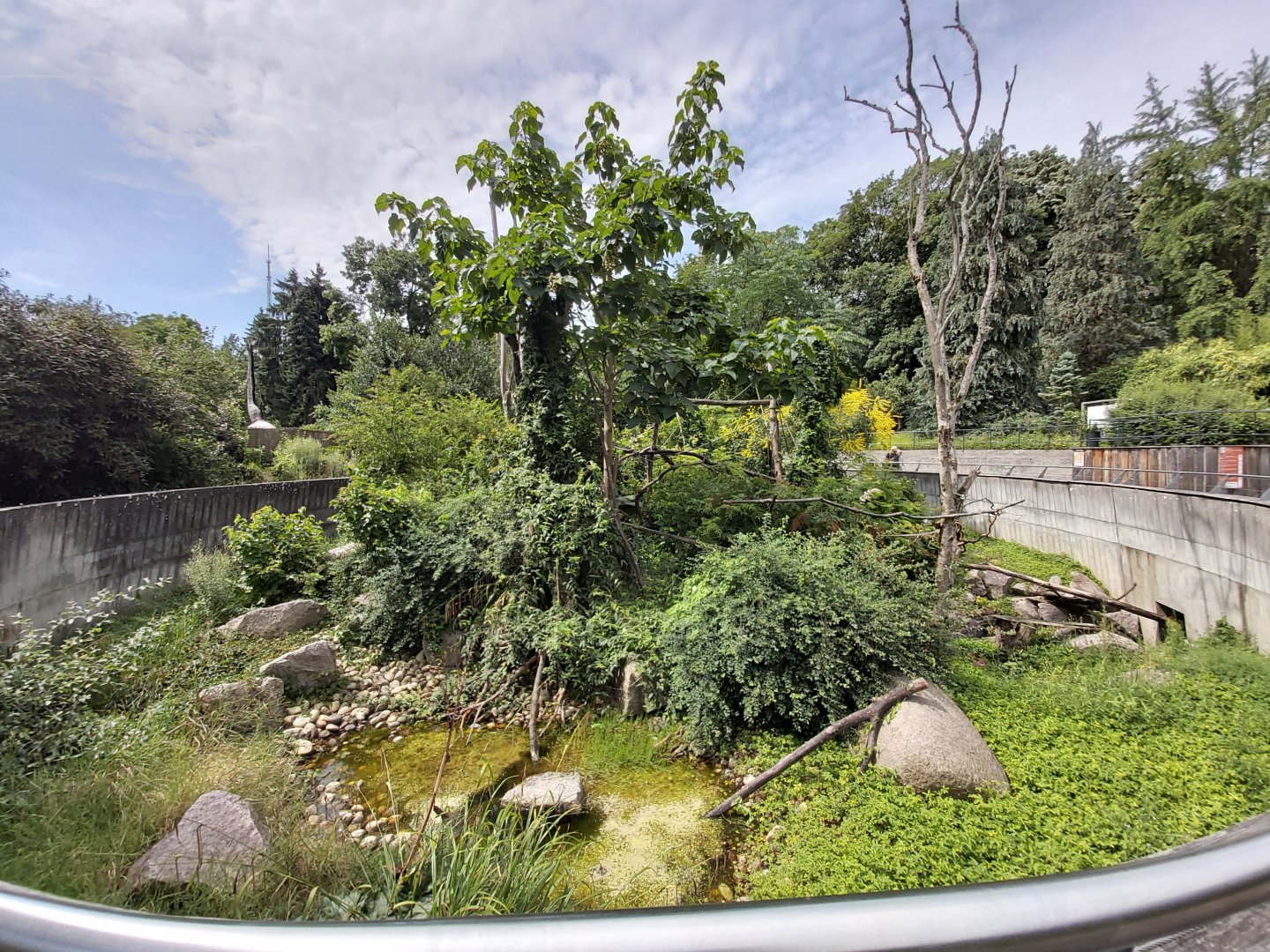 Red titi, golden-headed lion tamarin & cotton-top tamarin enclosure - Petite Amazonie