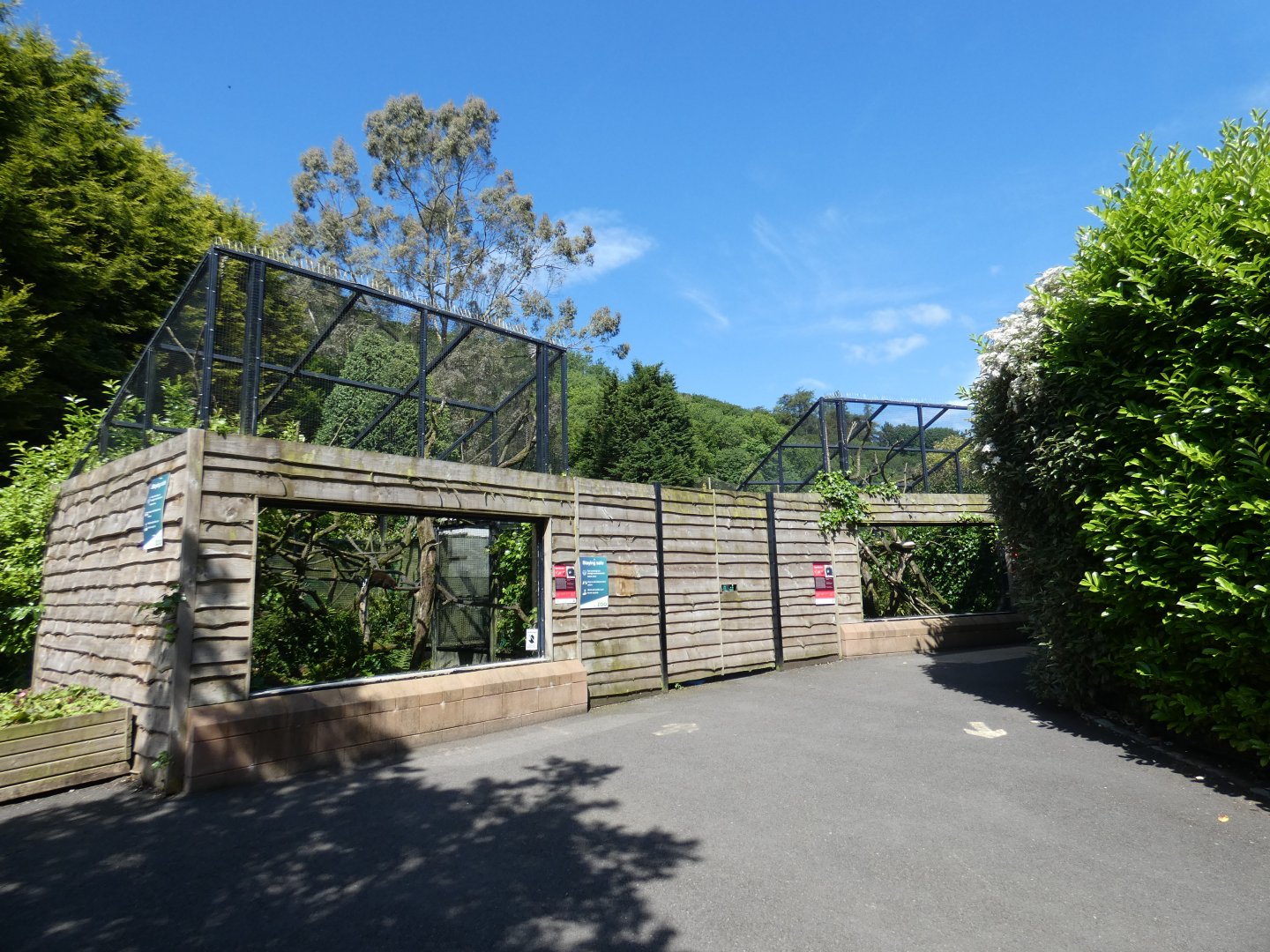 Red titi monkey enclosure