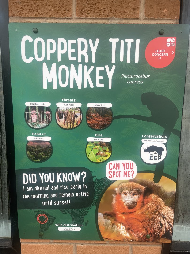 Red Titi Monkey Signage