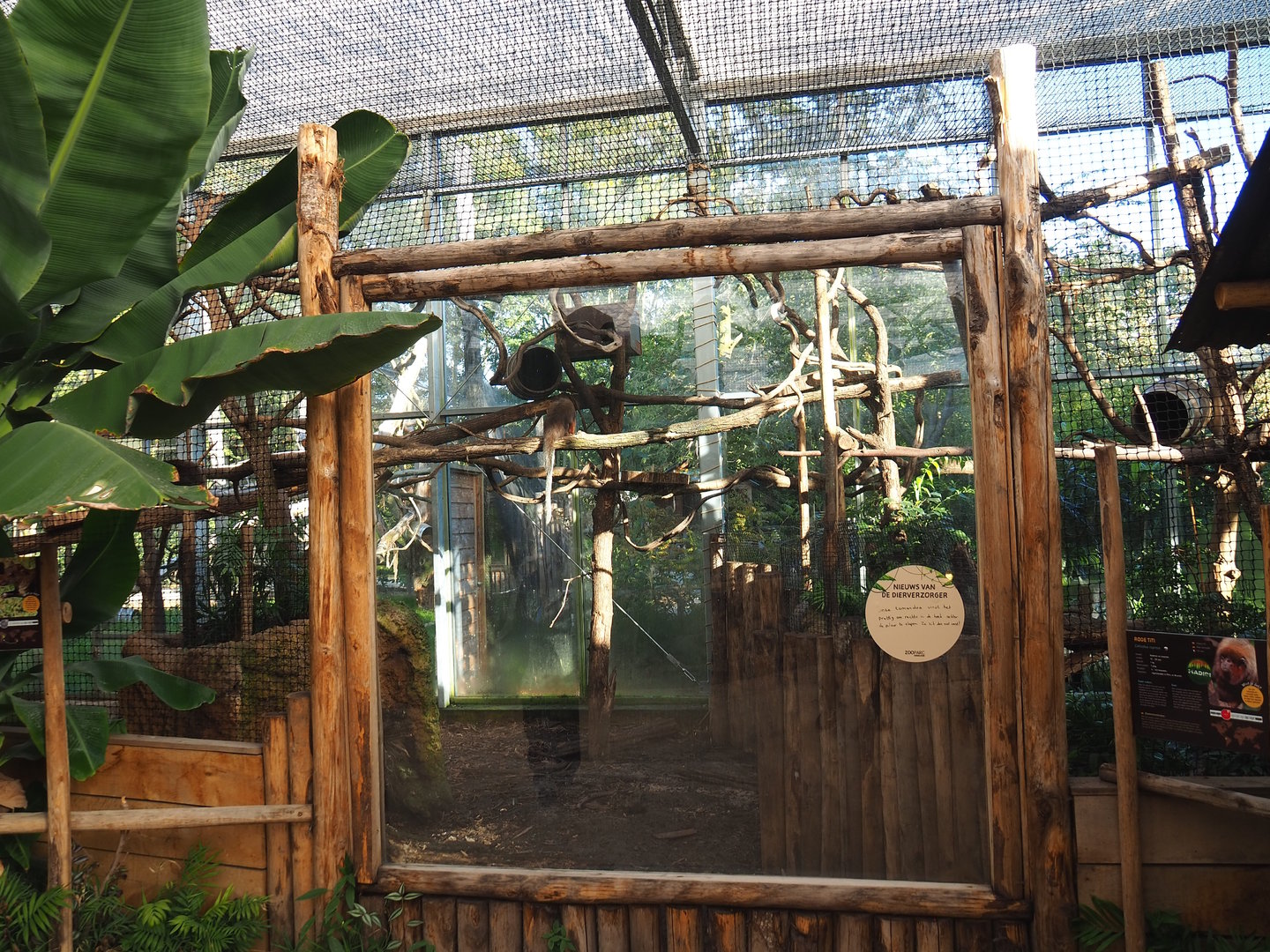 Red titi/Southern tamandua/Azara's agouti exhibit, 2022-10-09