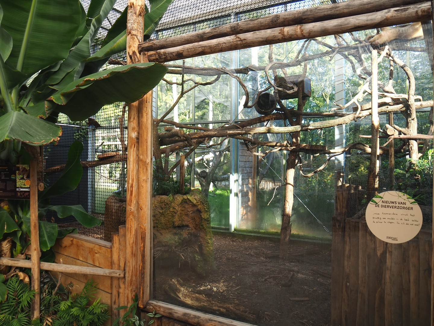 Red titi/Southern tamandua/Azara's agouti exhibit, 2022-10-09