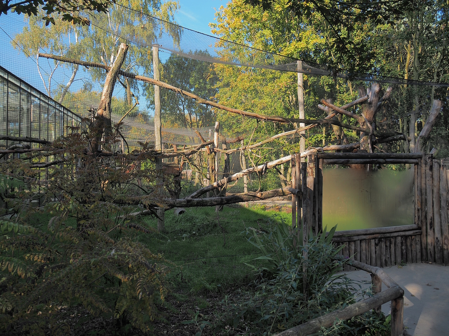 Red titi/Southern tamandua/Azara's agouti outdoor exhibit, 2022-10-09