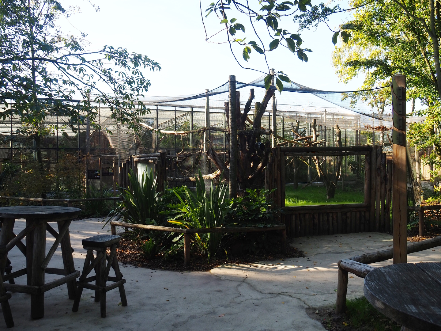 Red titi/Southern tamandua/Azara's agouti outdoor exhibit, 2022-10-09