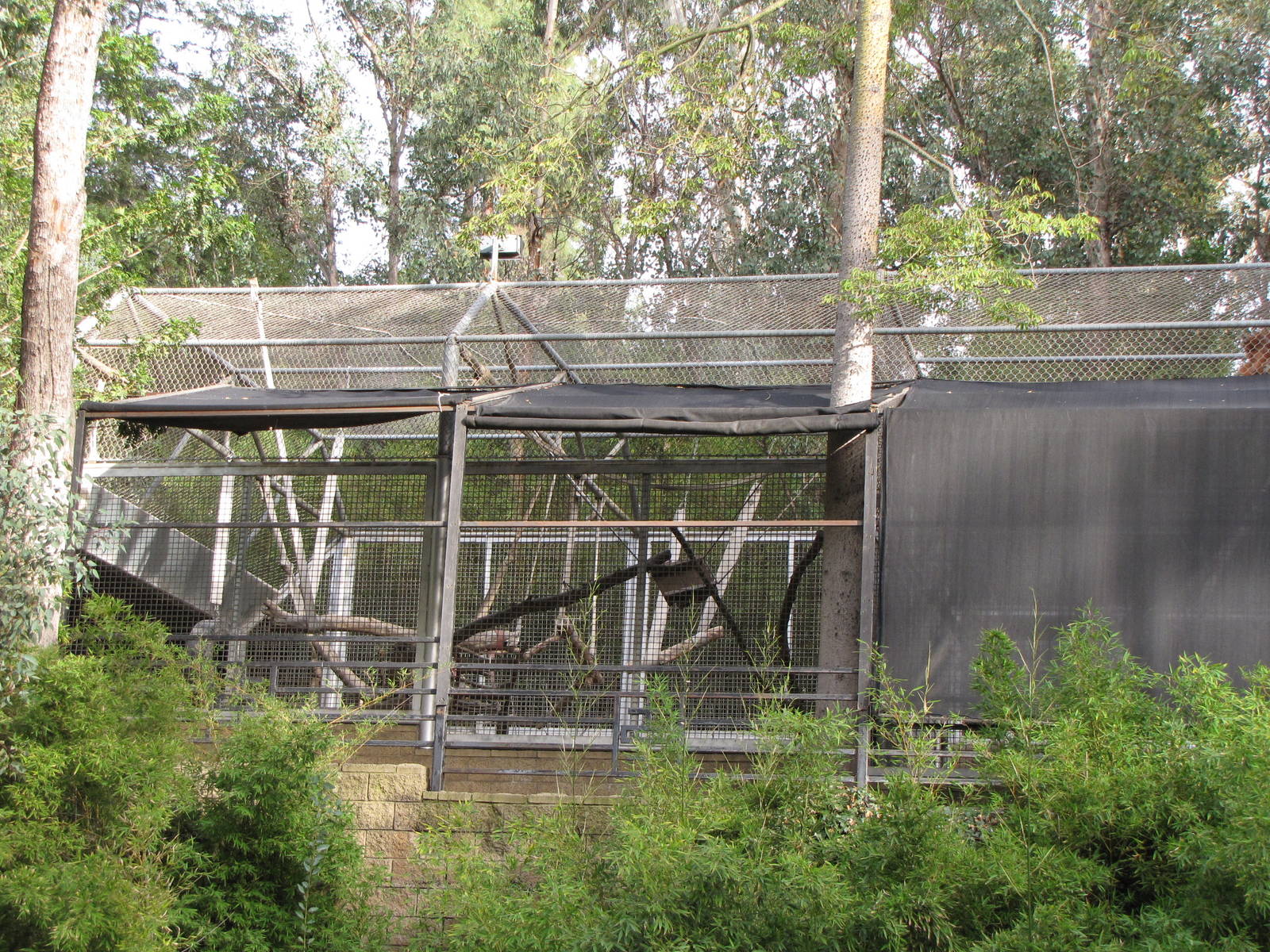 Red Uakari Off Exhibit Enclosure
