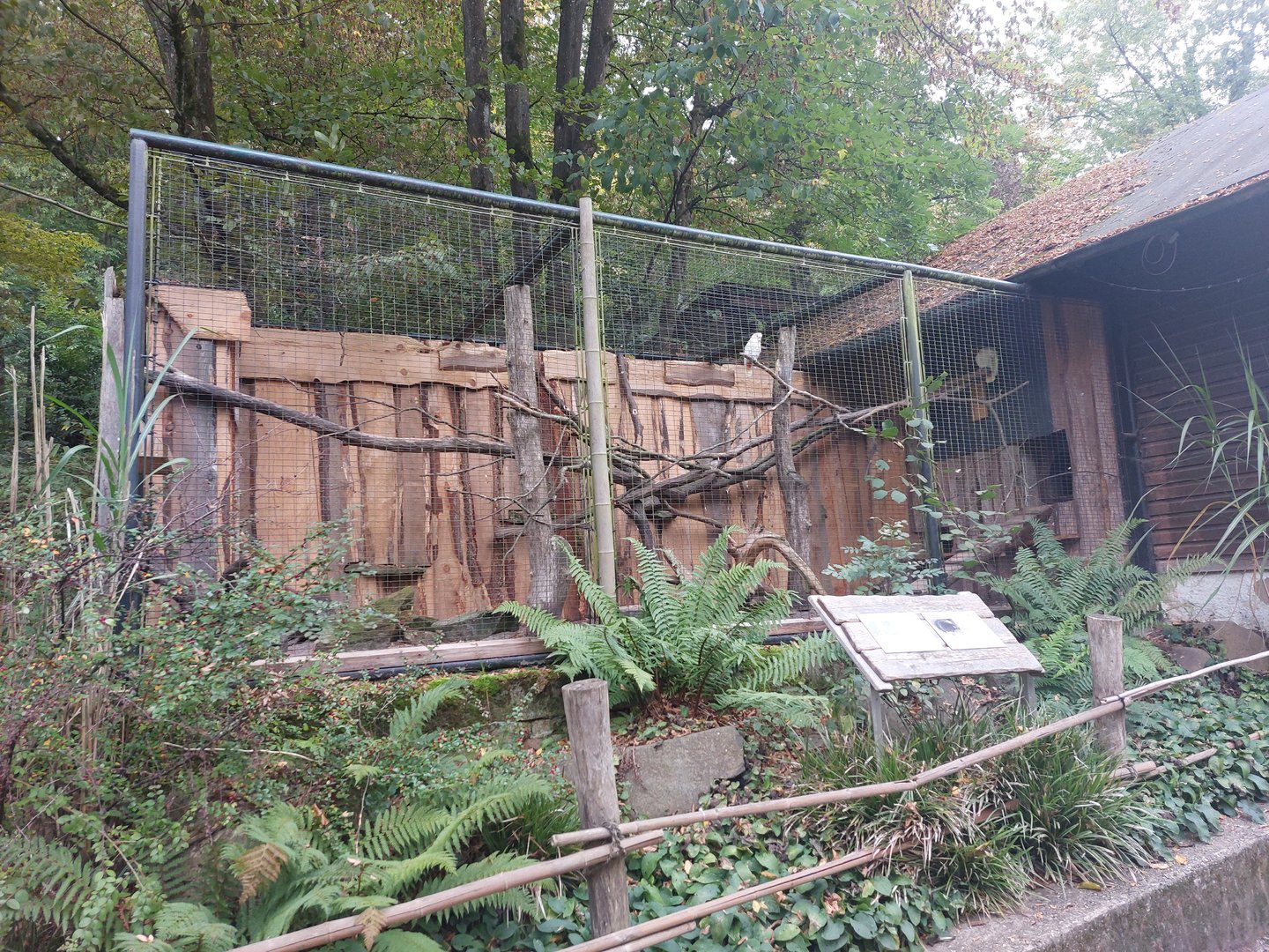 Red-vented cockatoo & Palawan porcupine enclosure