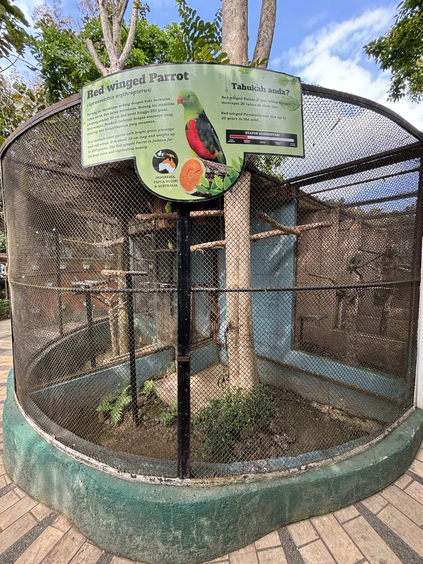 Red-winged Parrot Aviary