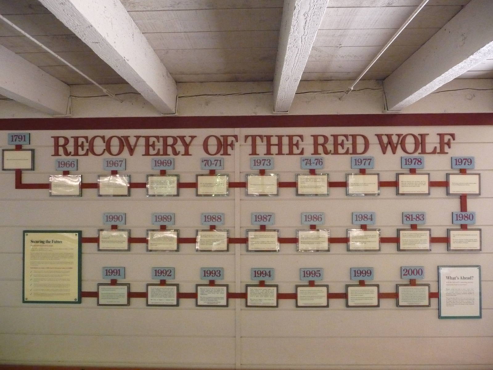 Red Wolf Exhibit - Conservation Signage