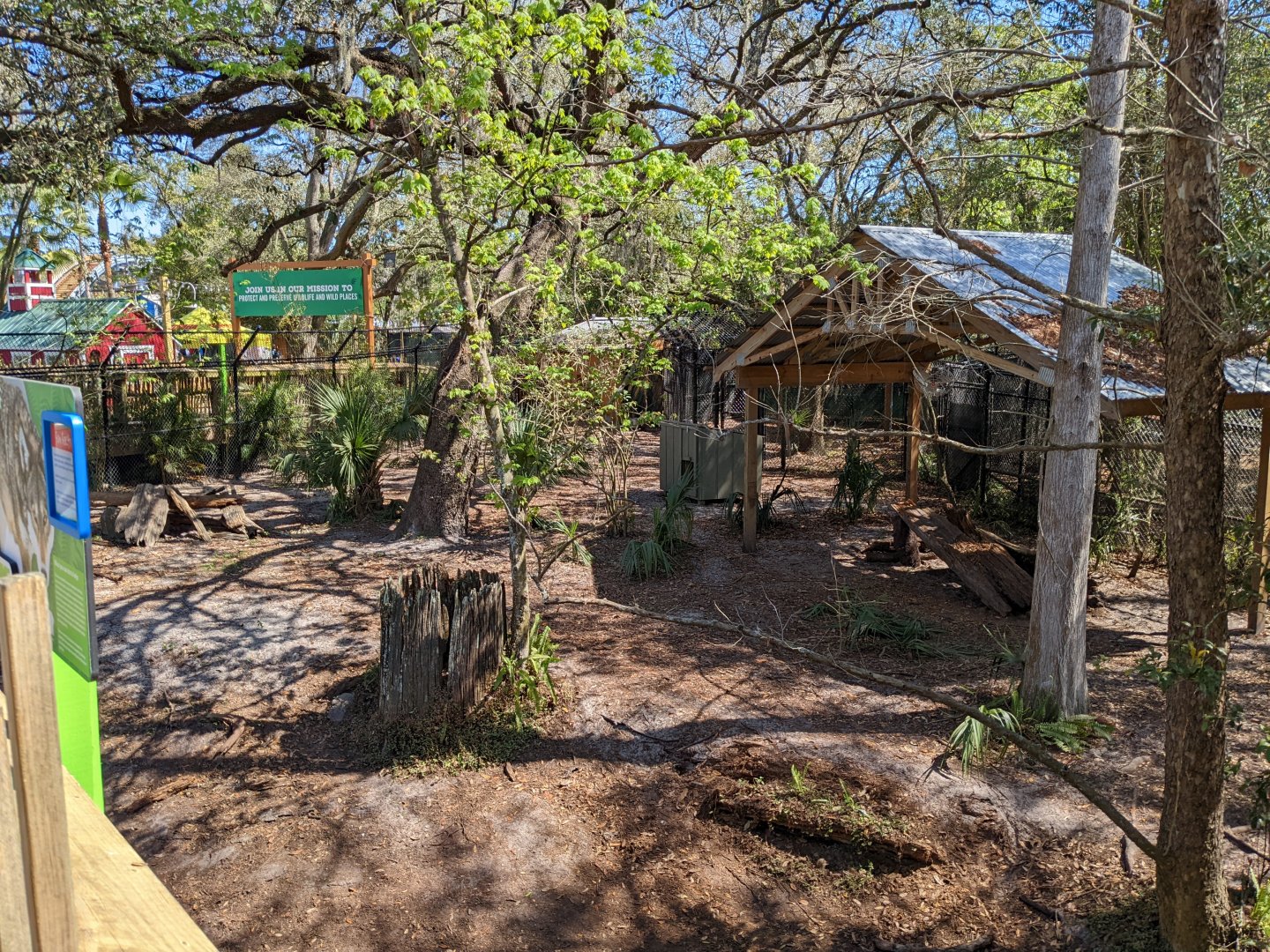 Red wolf habitat #1 from boardwalk