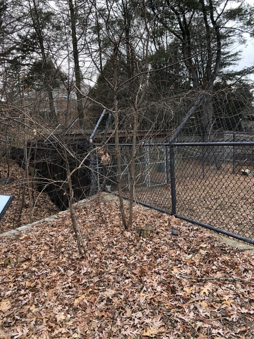 Red Wolf Habitat (Left) - Feb, 2020