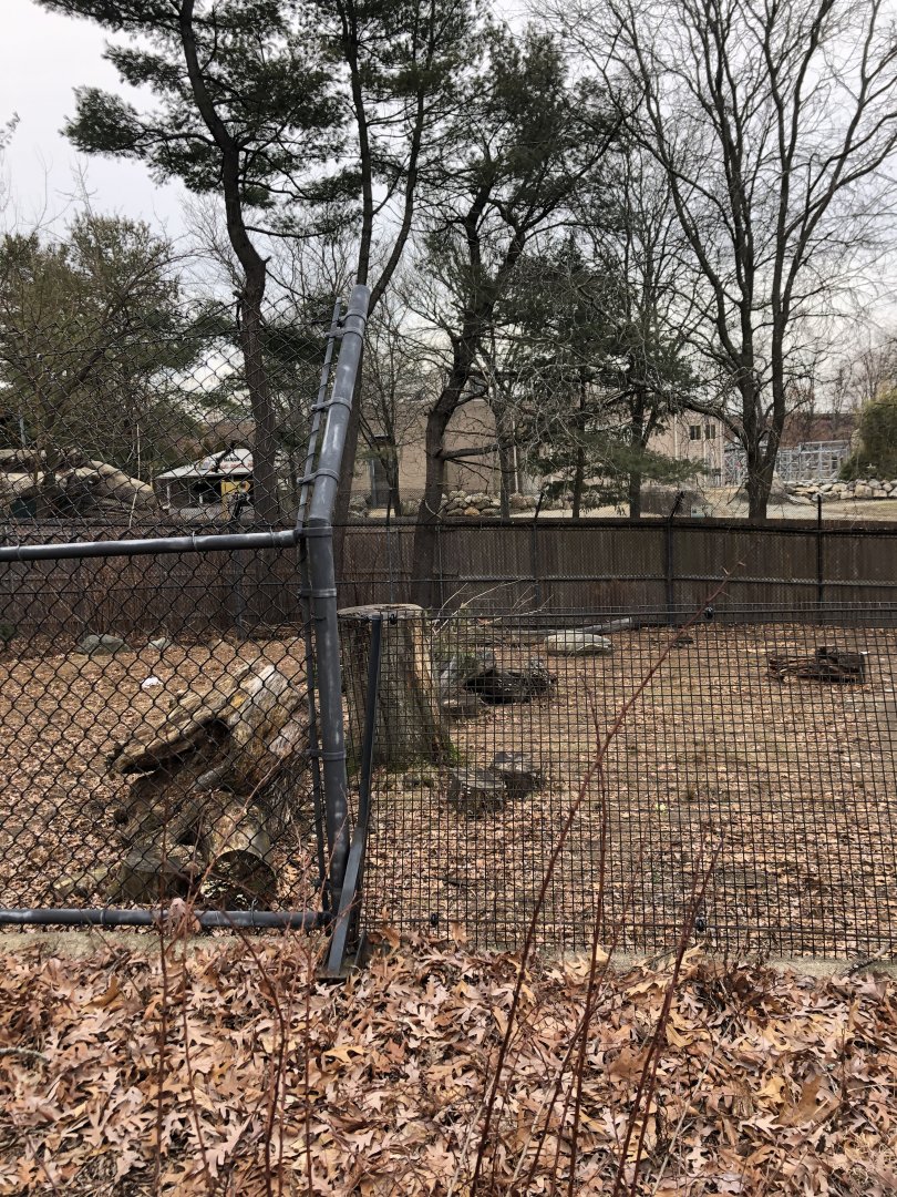 Red Wolf Habitat (Mid) - Feb, 2020