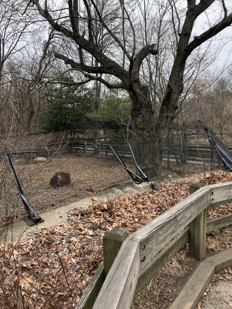 Red Wolf Habitat (Right) - Feb, 2020