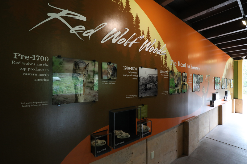 red wolf information graphics