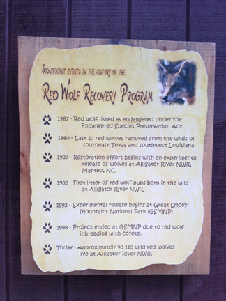 Red Wolf Recovery Program