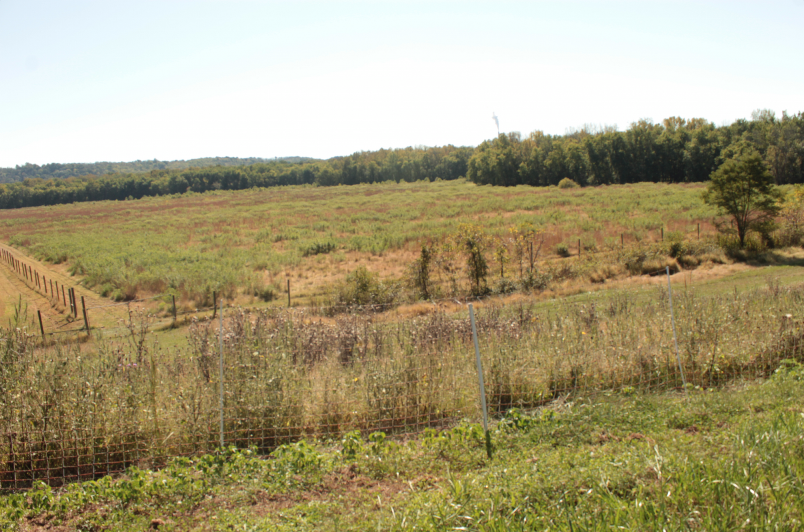 Red Wolf Sanctuary - Future Elk Enclosure