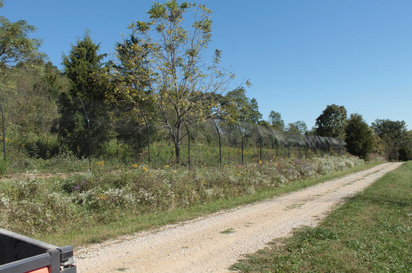 Red Wolf Sanctuary - One of Many Grey Wolf Exhibits