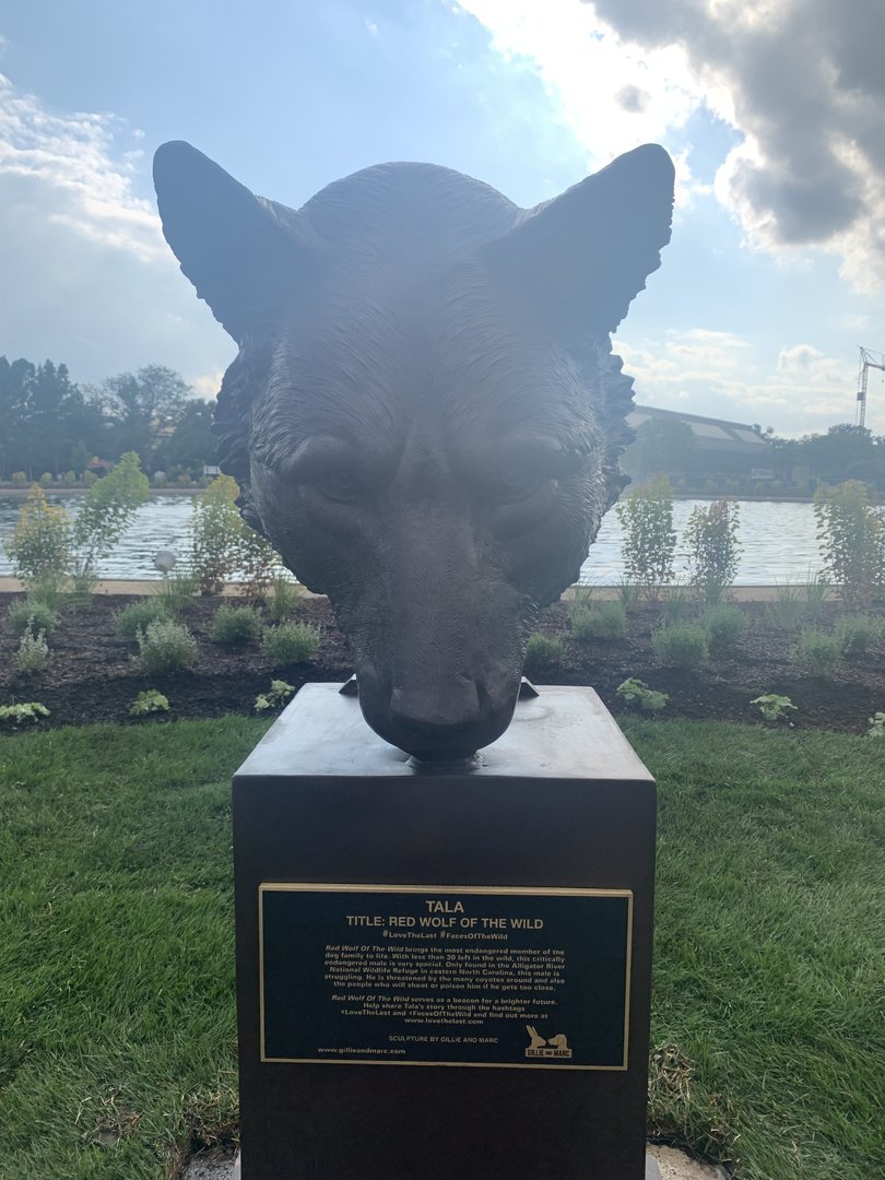 Red wolf sculpture