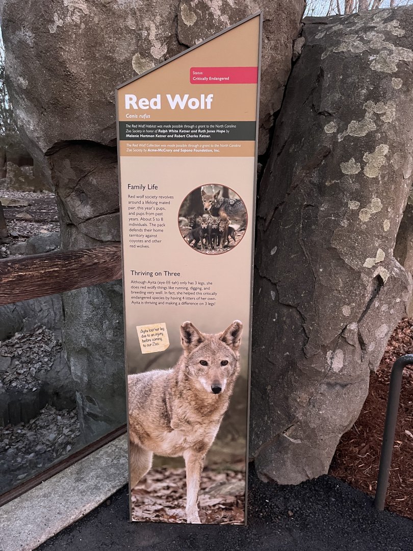 Red Wolf sign explaining Ayita’s leg