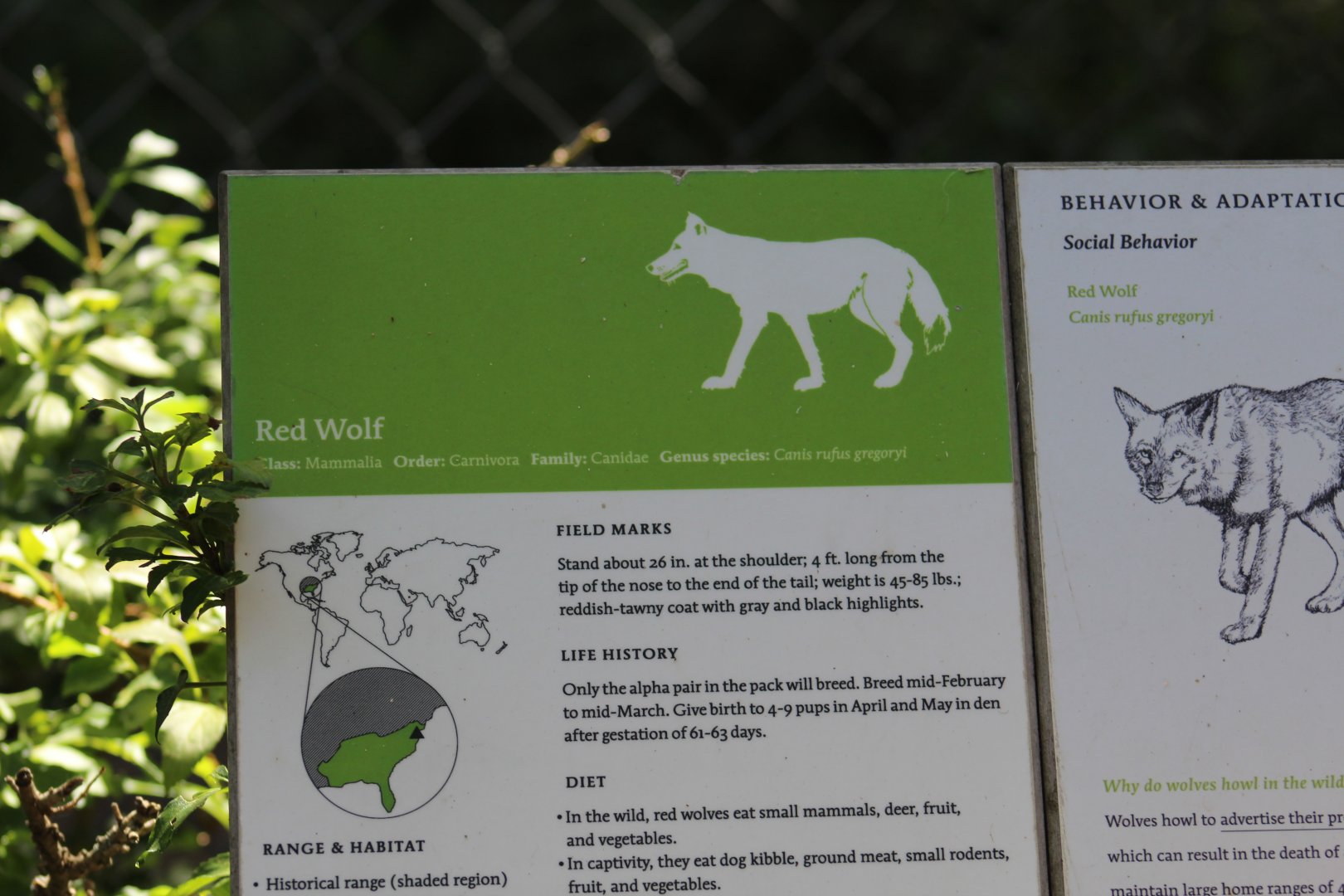 Red Wolf Signage
