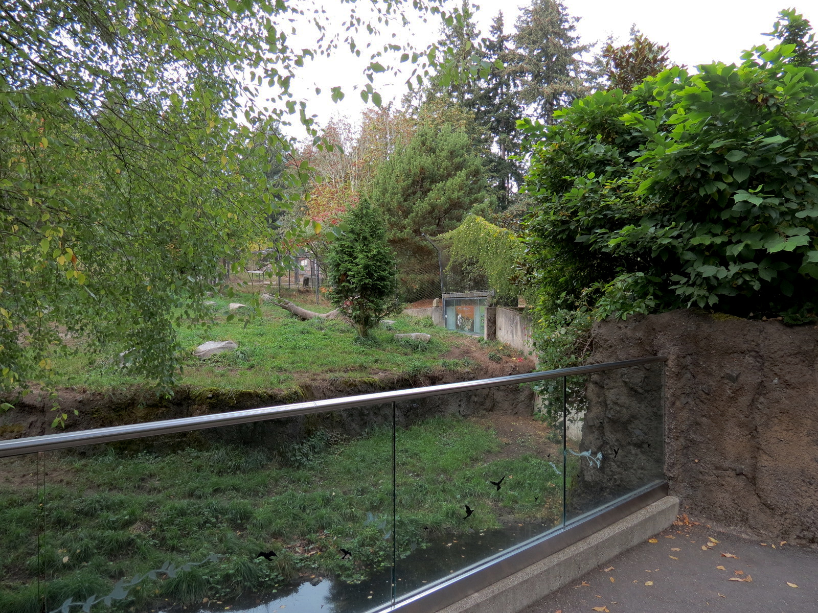 Red Wolf Woods - Exhibit 1 - Viewing Area