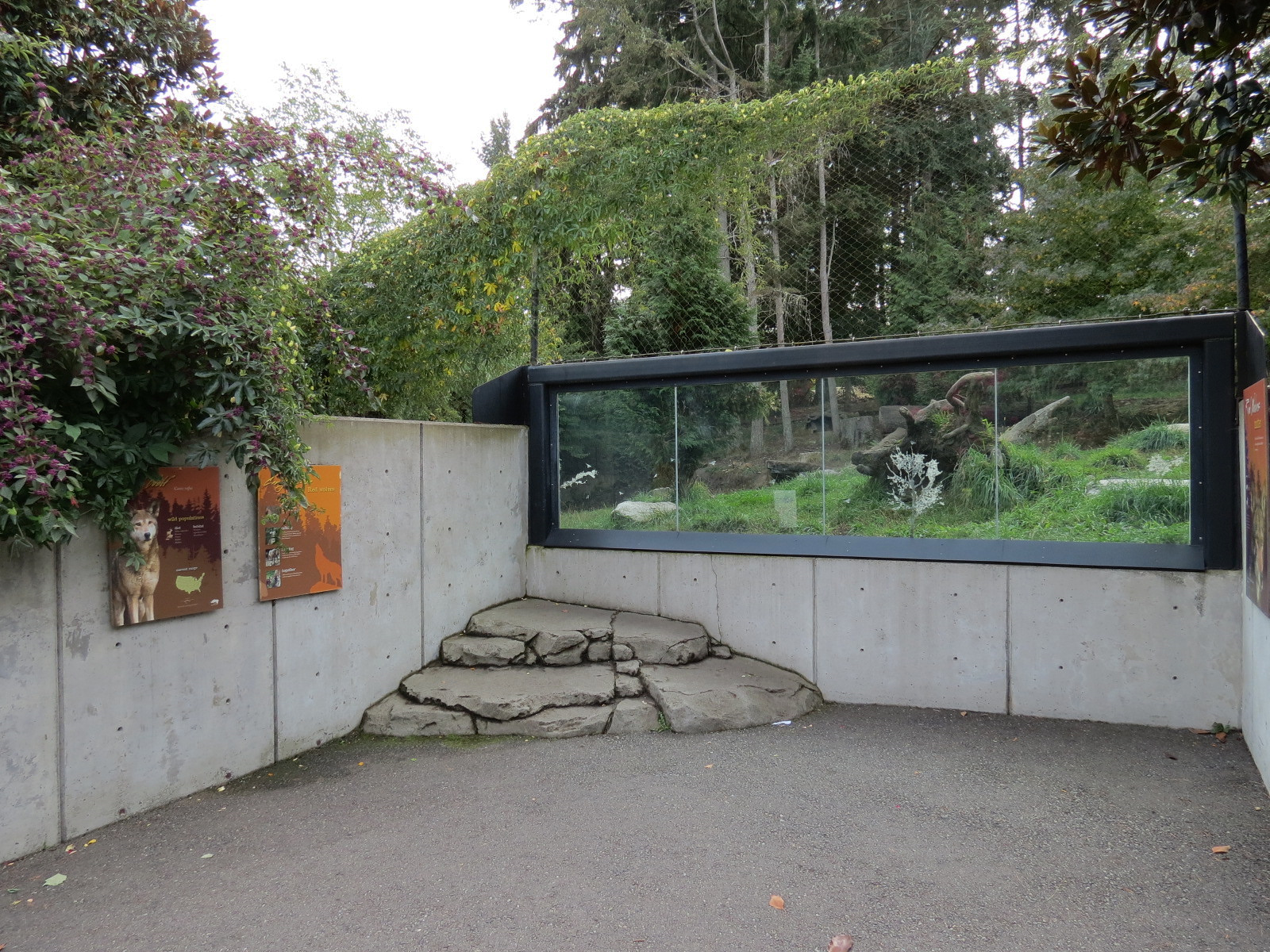 Red Wolf Woods - Exhibit 1 - Viewing Area