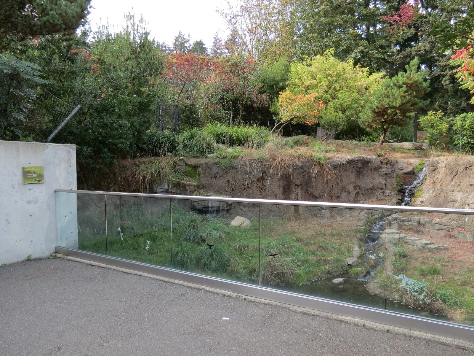 Red Wolf Woods - Exhibit 2 - Viewing Area