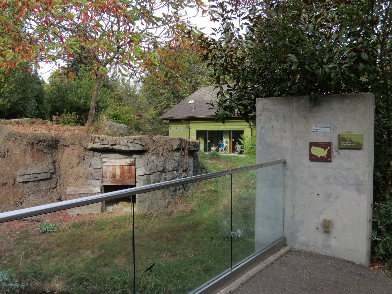 Red Wolf Woods - Exhibit 2 - Viewing Area