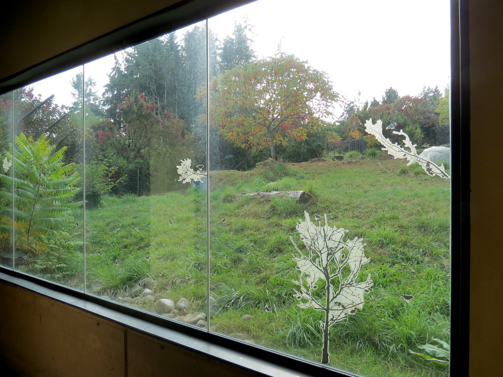 Red Wolf Woods - Exhibit 2 - Viewing Cabin