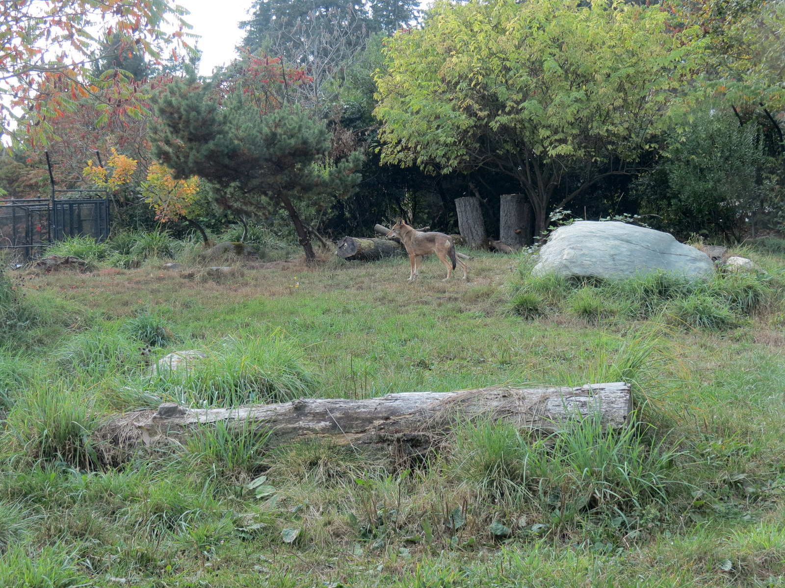 Red Wolf Woods - Exhibit 2