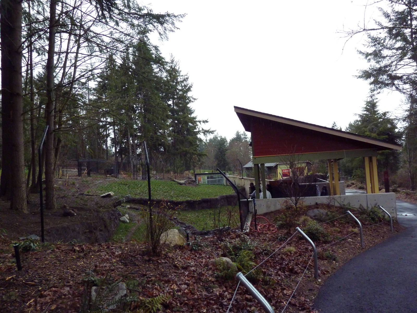 Red Wolf Woods - New In 2010