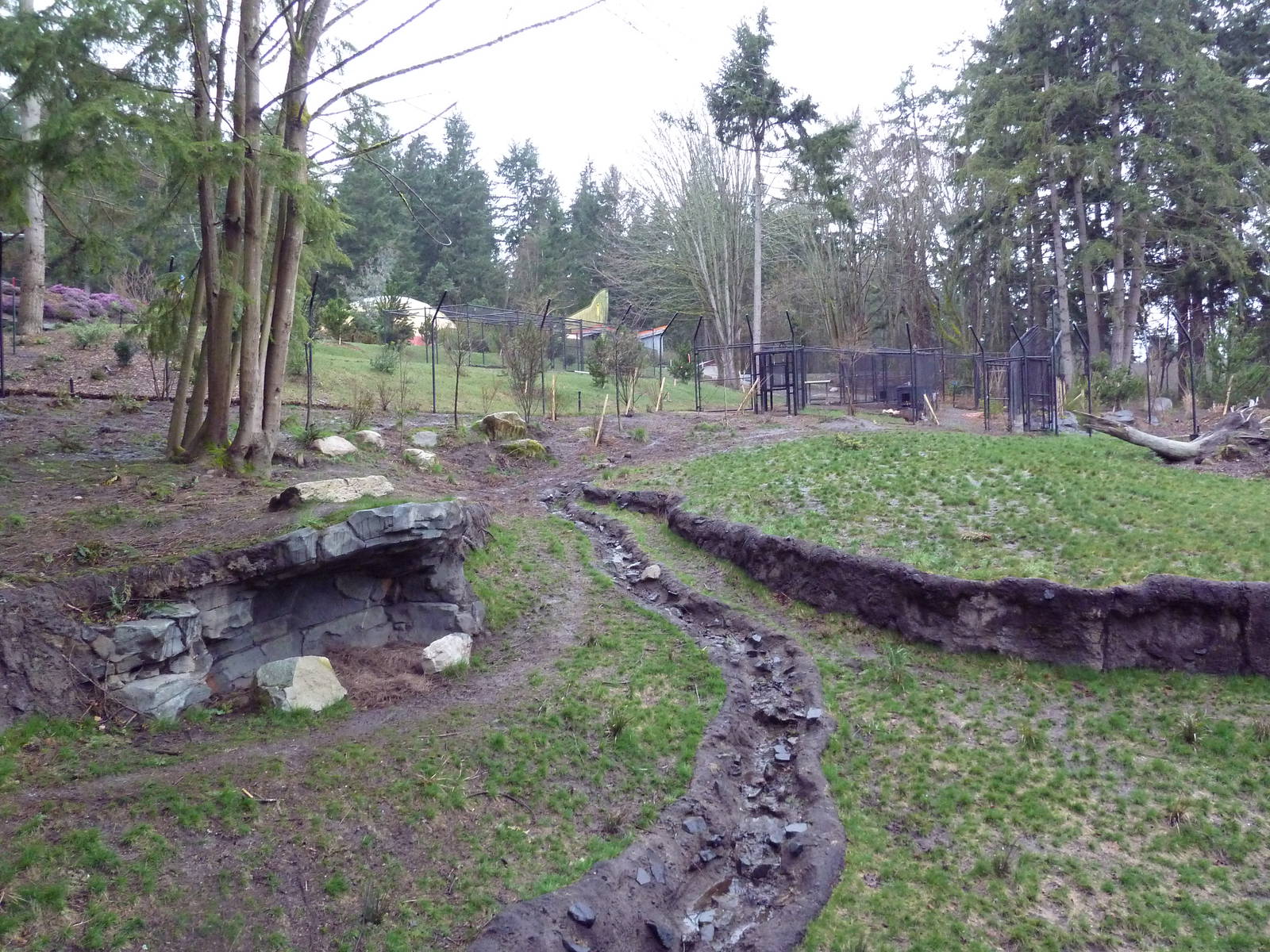 Red Wolf Woods - New In 2010