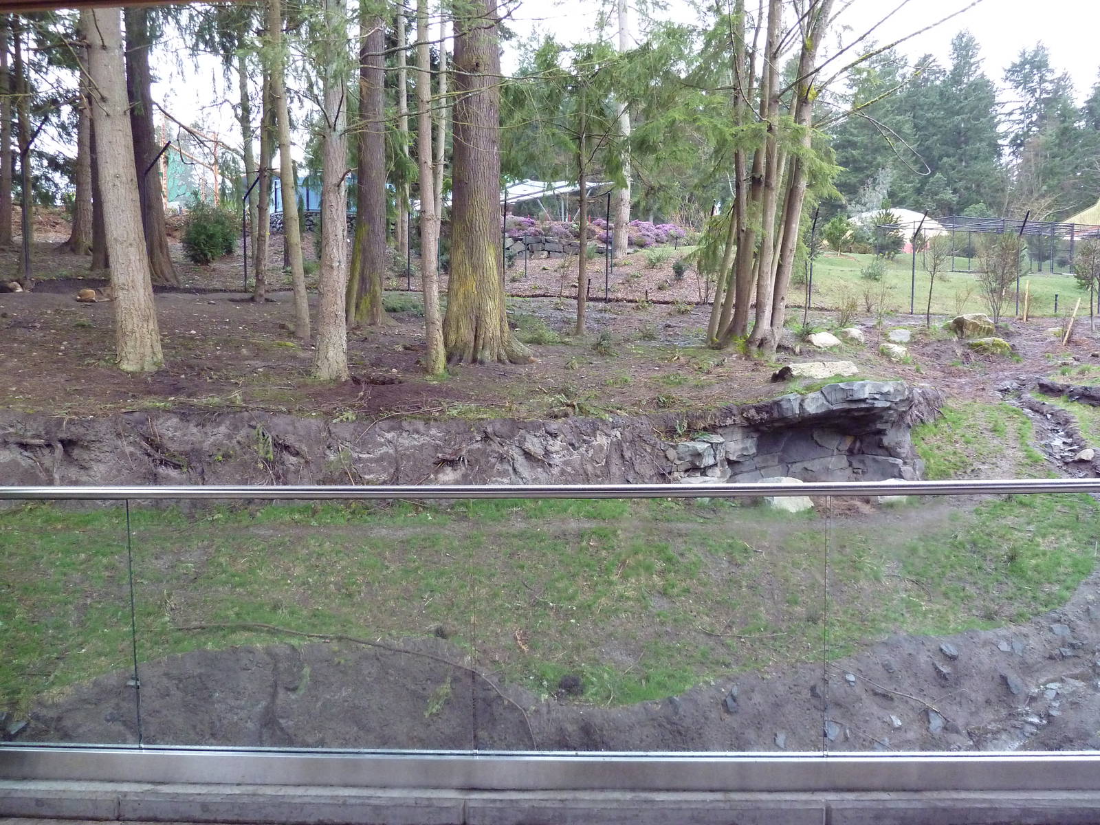 Red Wolf Woods - New In 2010