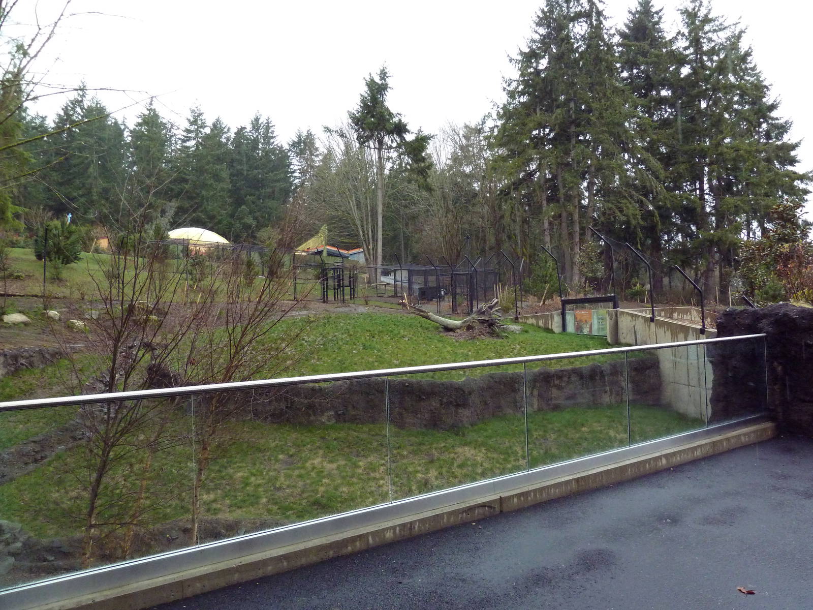 Red Wolf Woods - New In 2010