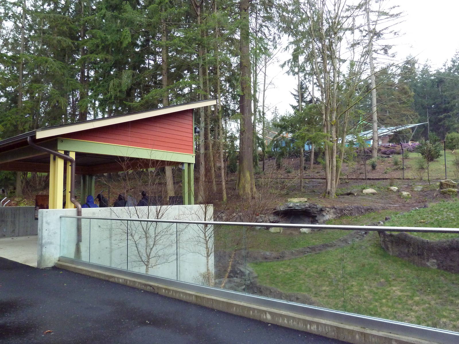 Red Wolf Woods - New In 2010