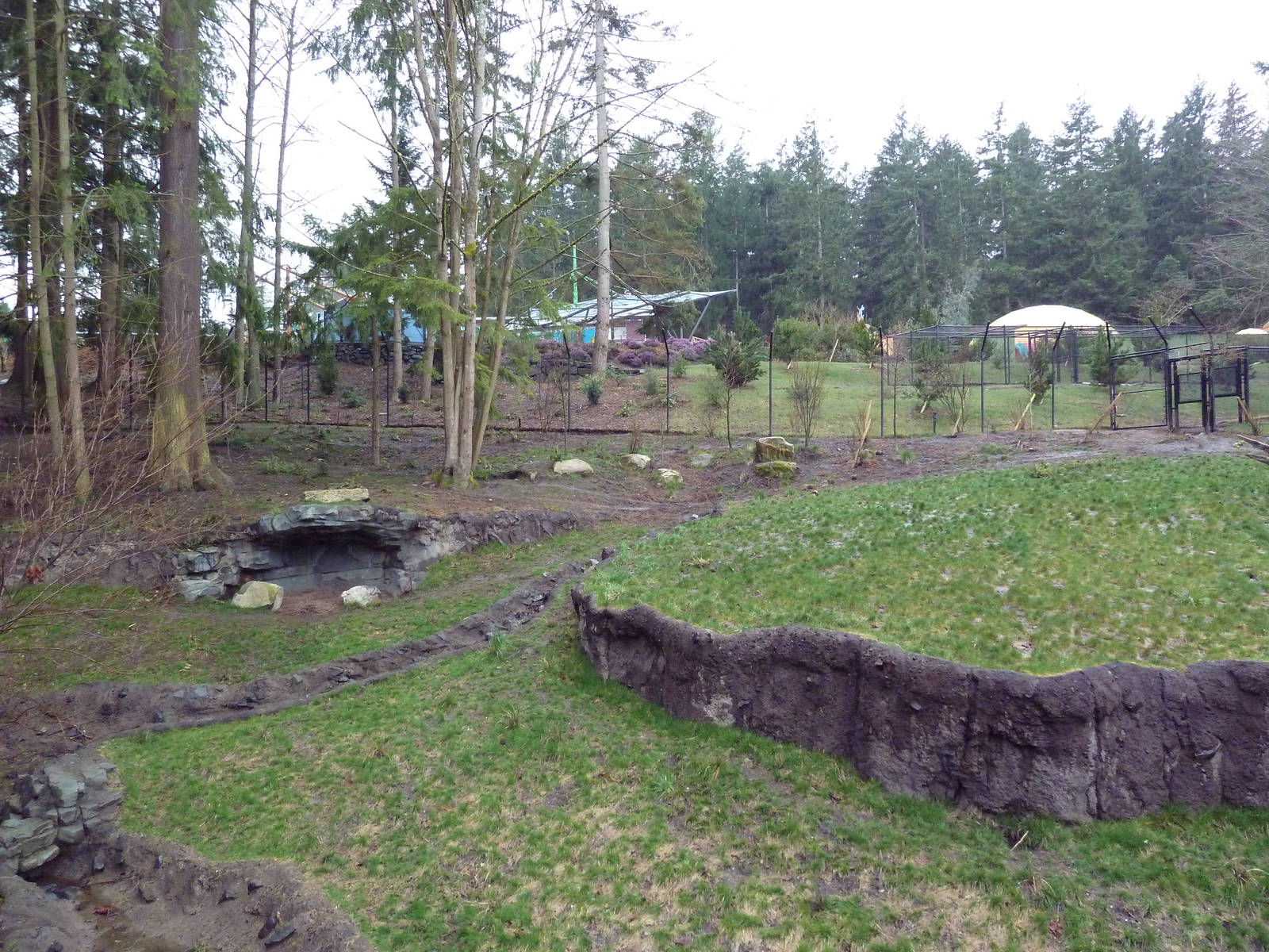 Red Wolf Woods - New In 2010