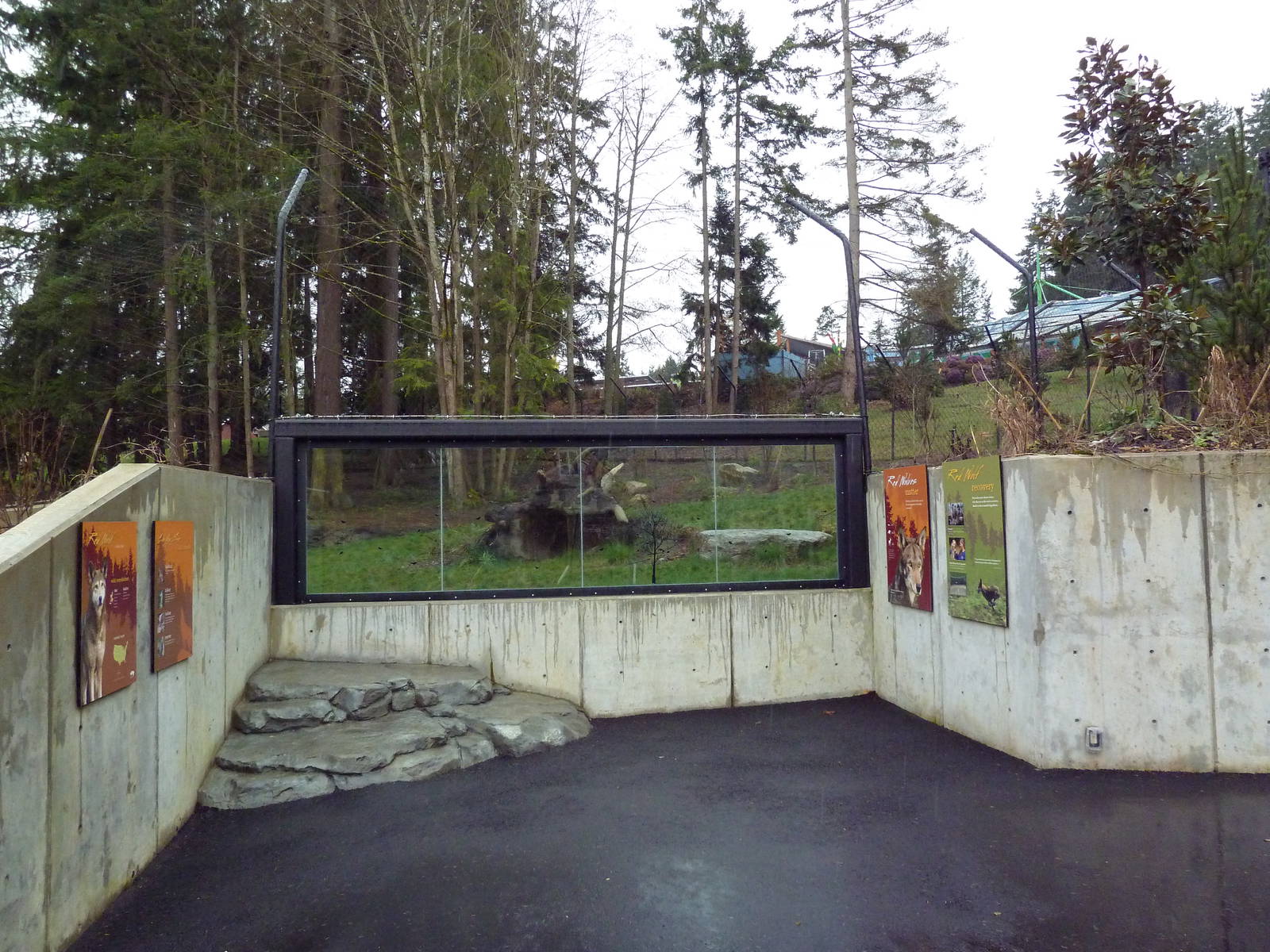 Red Wolf Woods - New In 2010