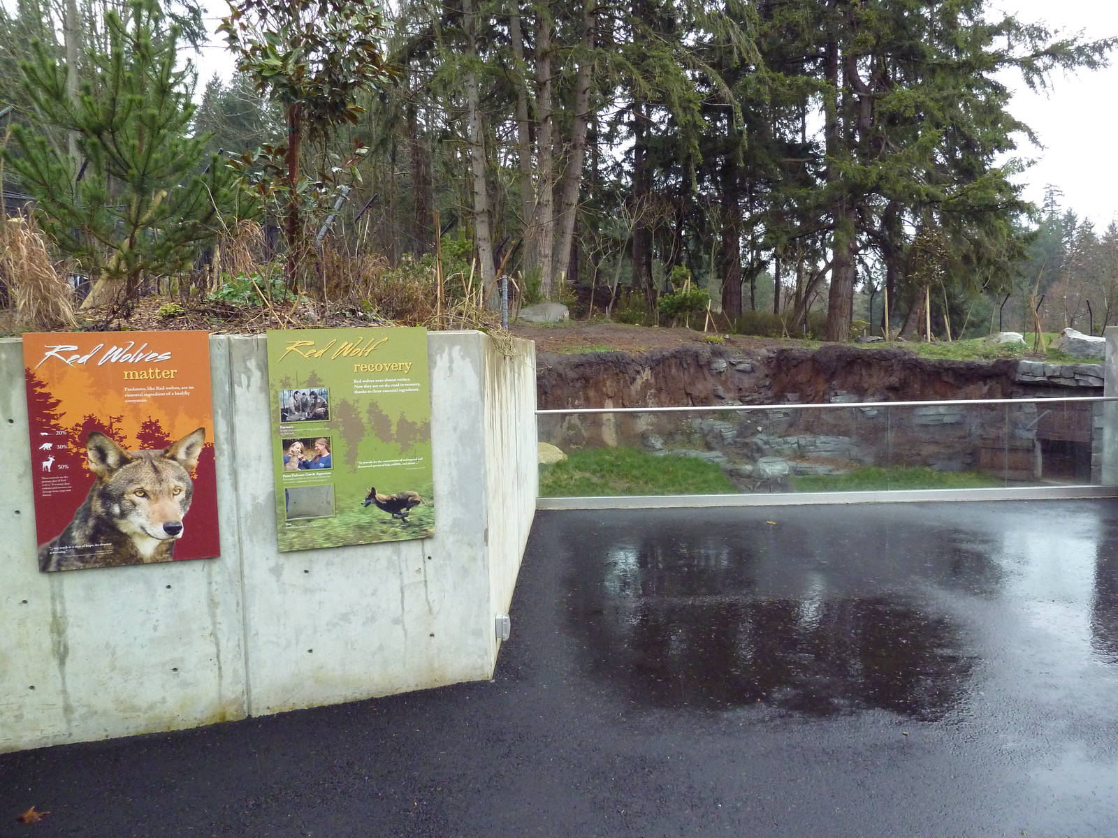 Red Wolf Woods - New In 2010