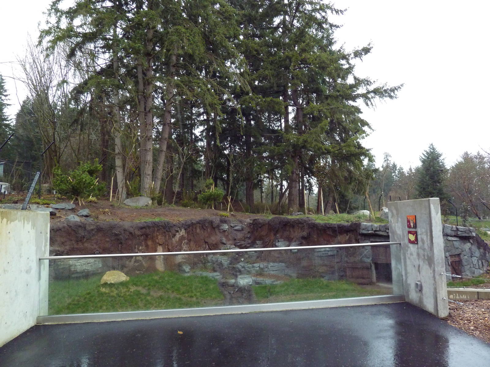 Red Wolf Woods - New In 2010