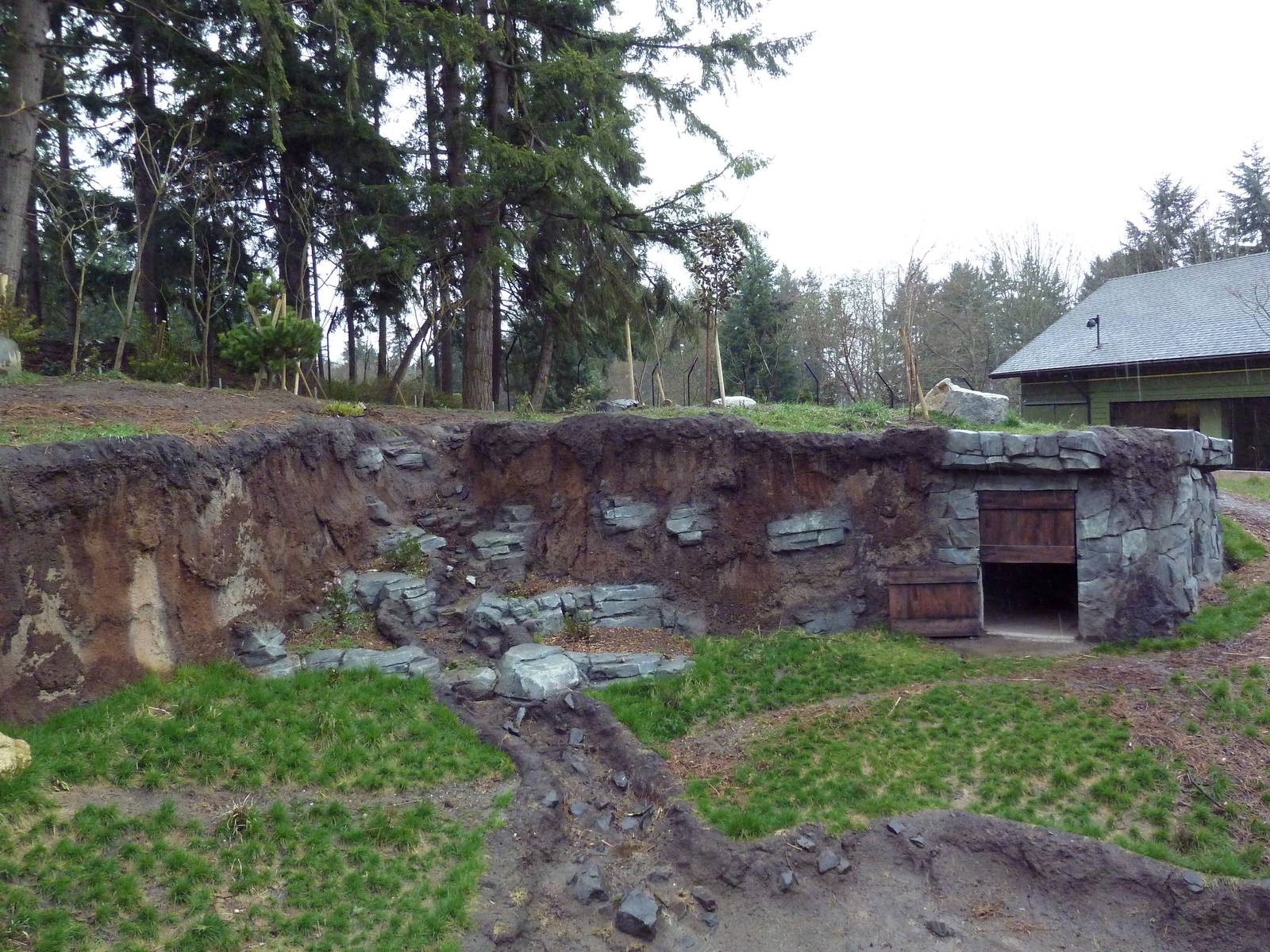 Red Wolf Woods - New In 2010