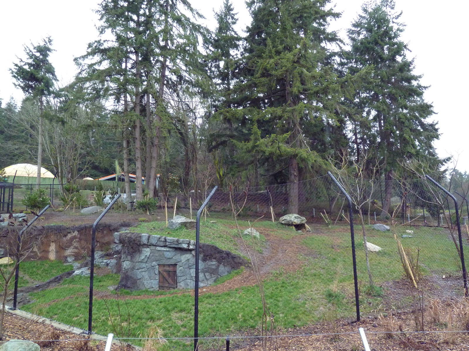 Red Wolf Woods - New In 2010