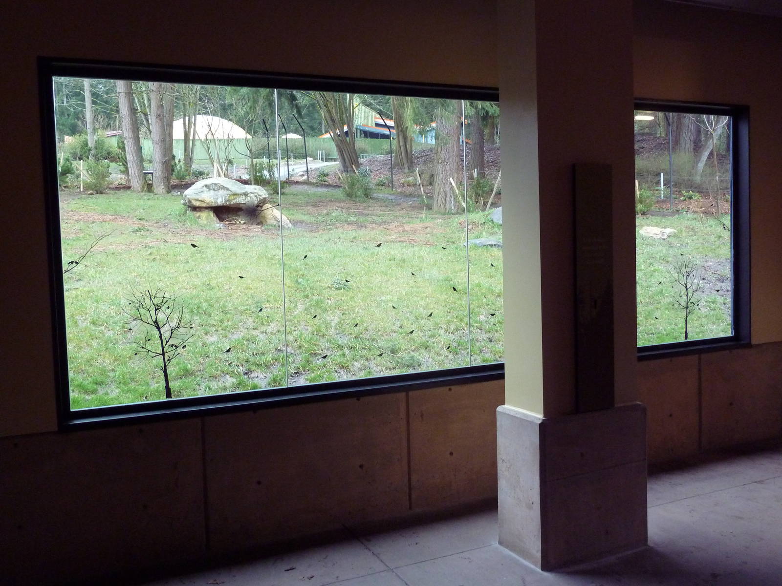 Red Wolf Woods - New In 2010