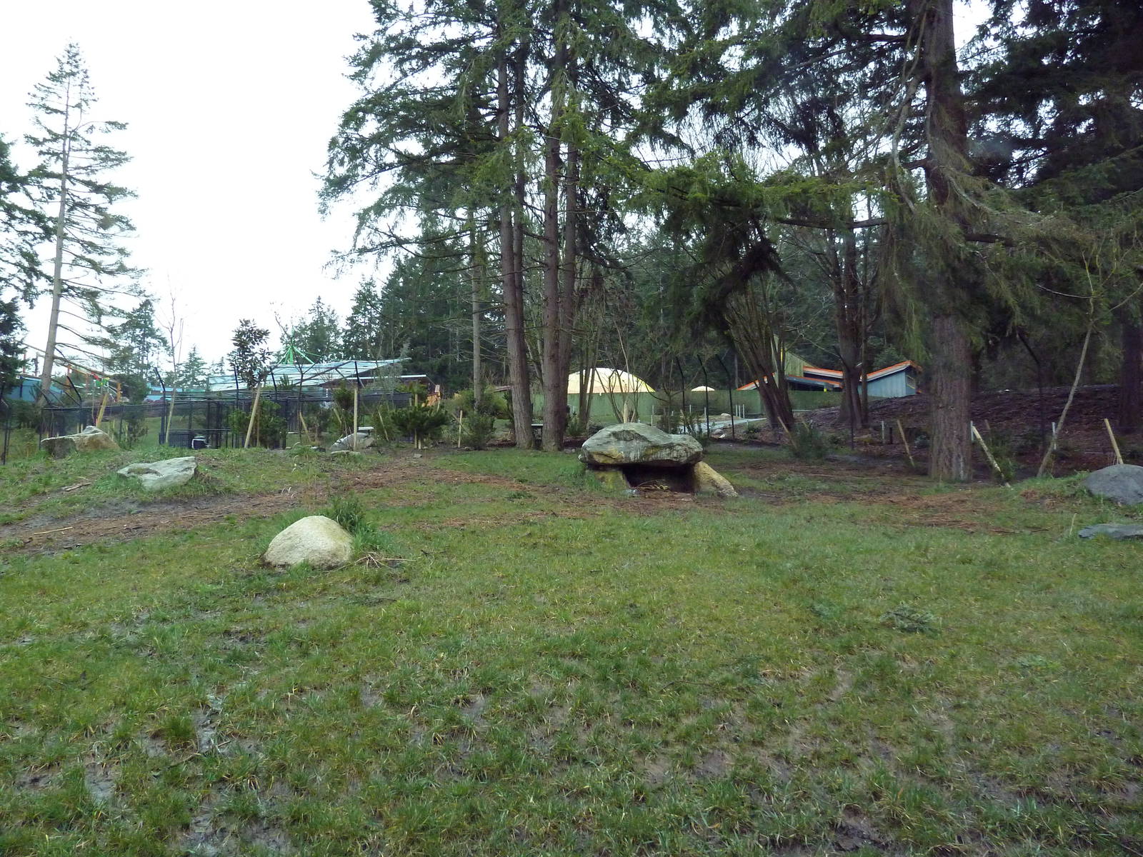 Red Wolf Woods - New In 2010