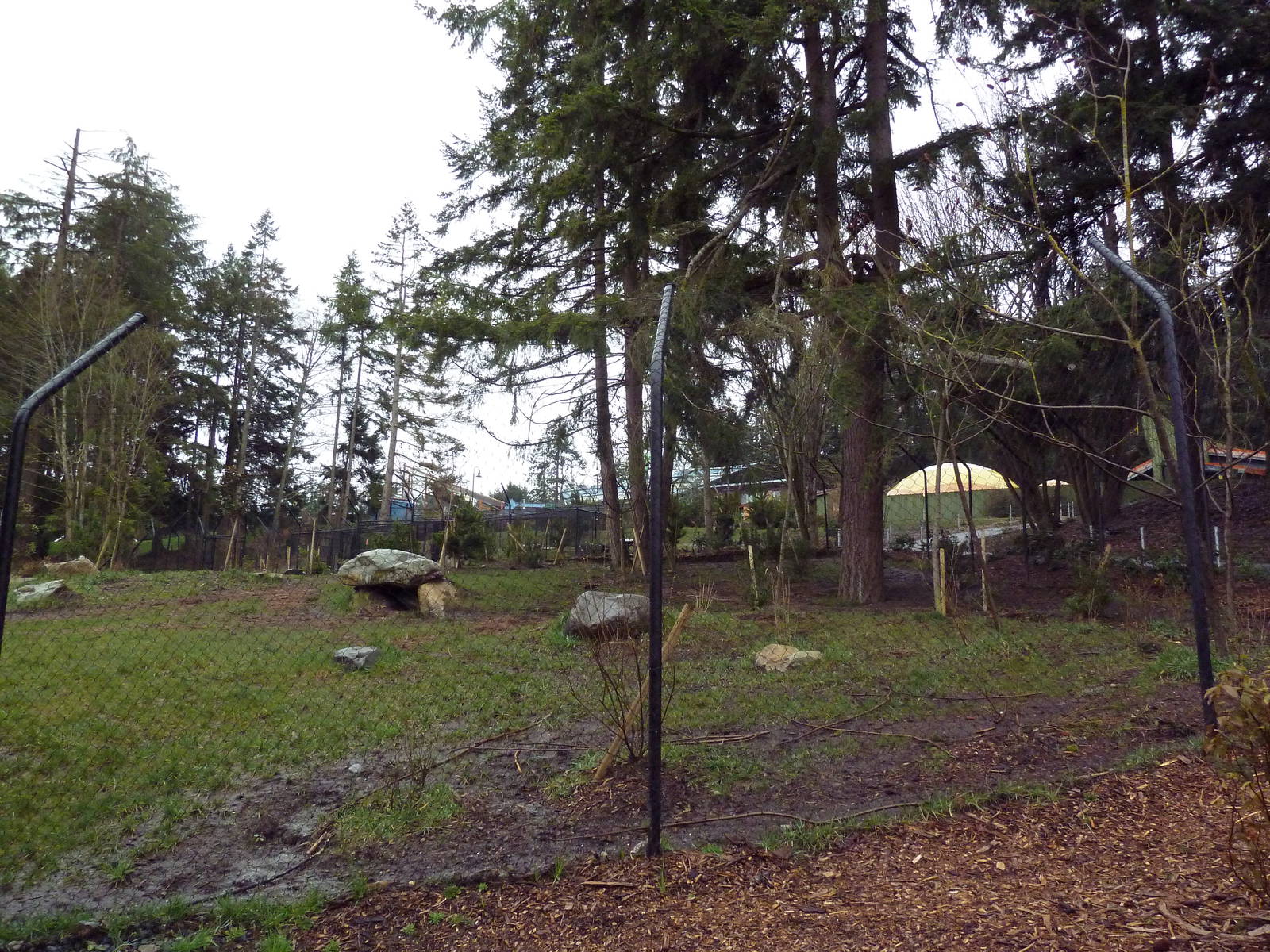 Red Wolf Woods - New In 2010