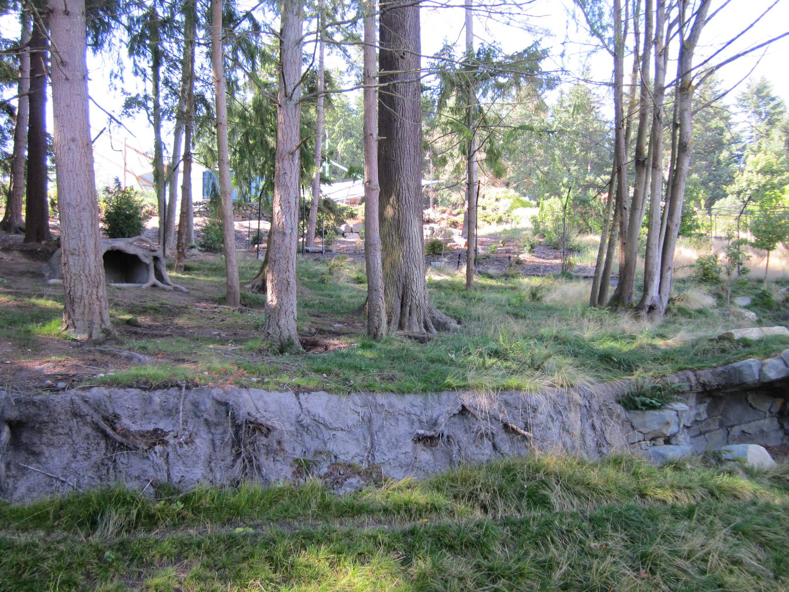 Red Wolf Woods - New In 2010