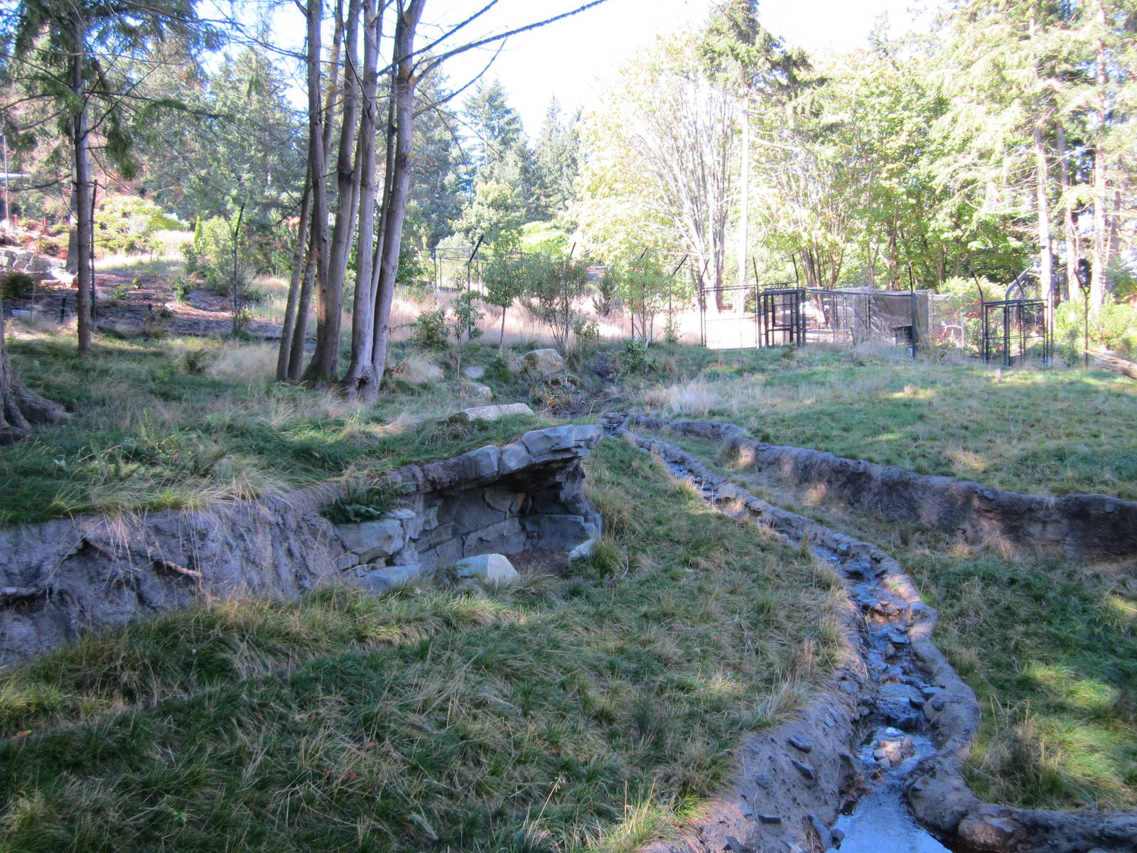 Red Wolf Woods - New In 2010