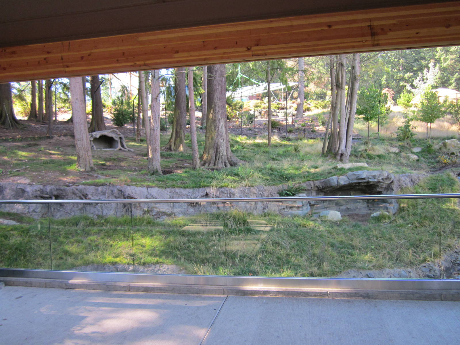 Red Wolf Woods - New In 2010