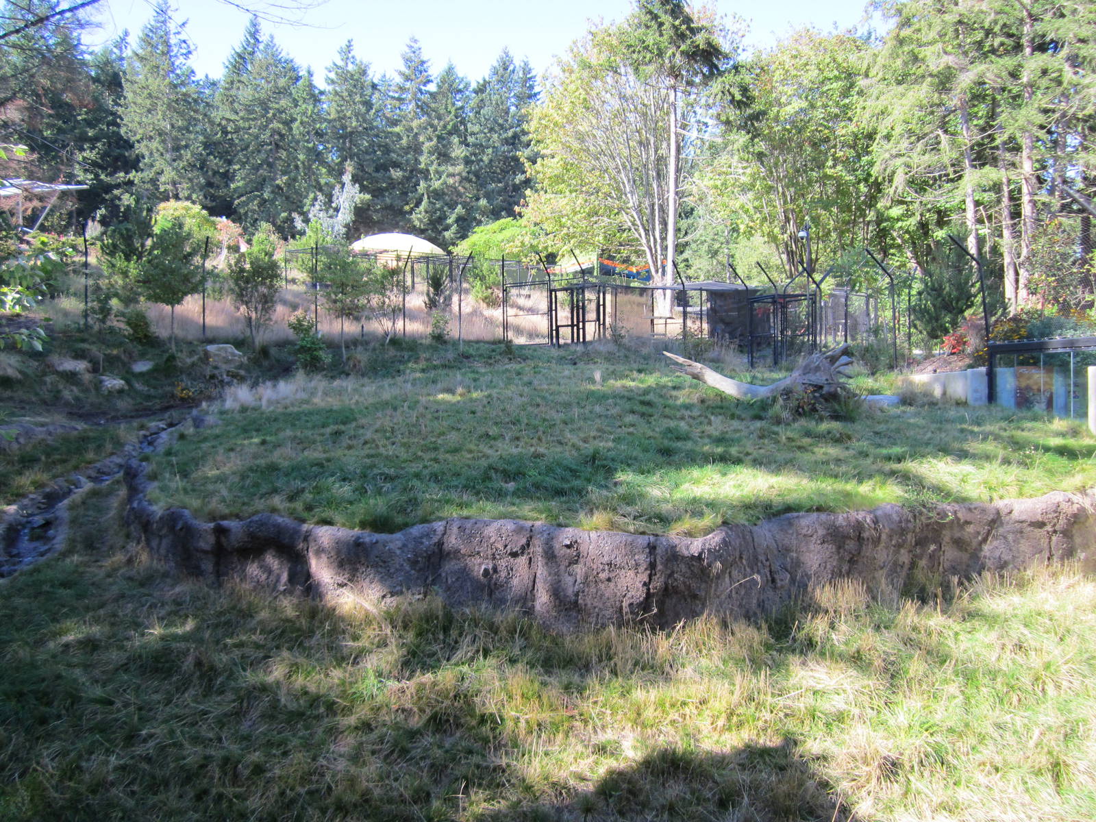 Red Wolf Woods - New In 2010