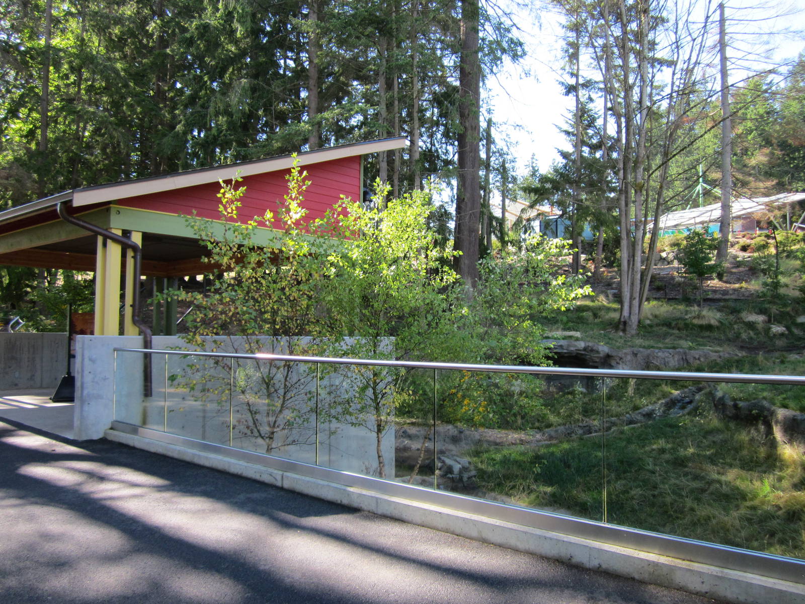 Red Wolf Woods - New In 2010