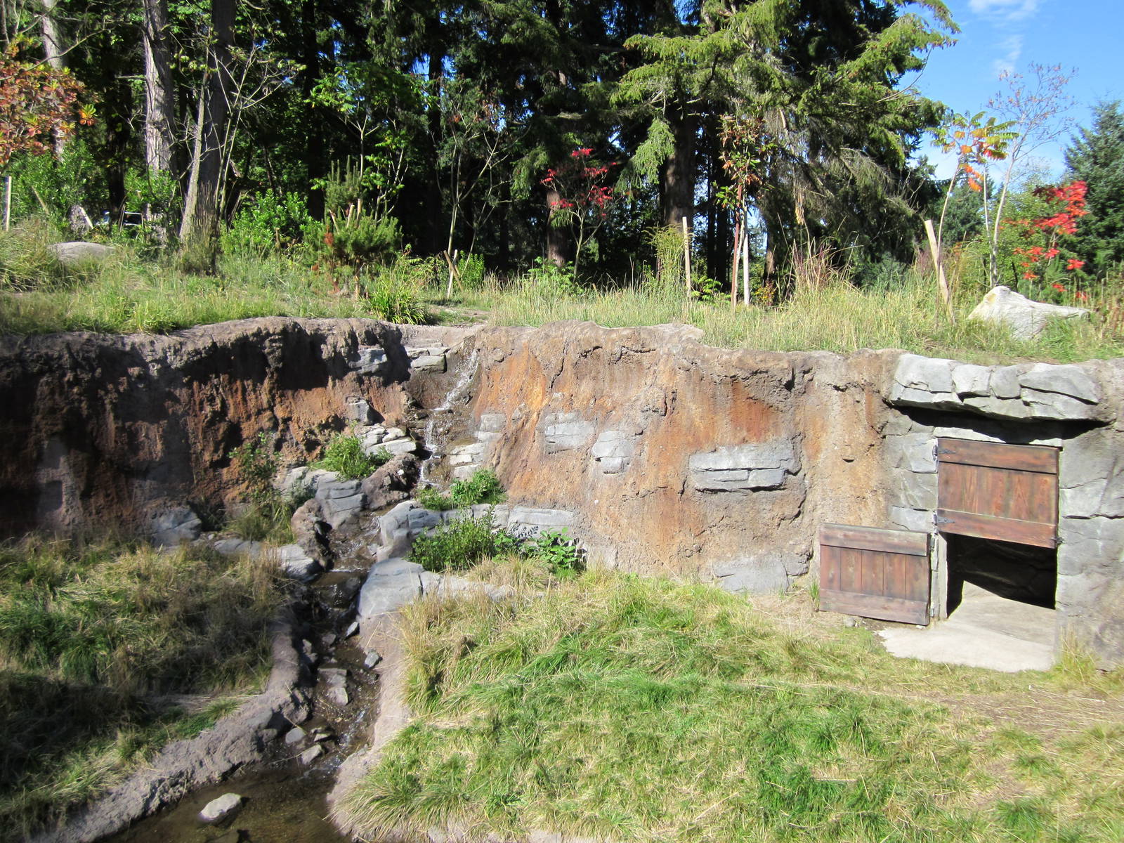 Red Wolf Woods - New In 2010